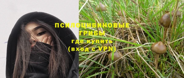 амф Магадан