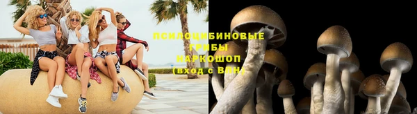 2c-b Магас